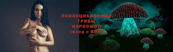 молекула духа Алексин