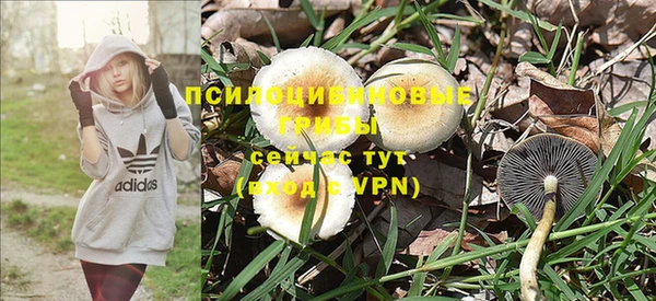 молекула духа Алексин